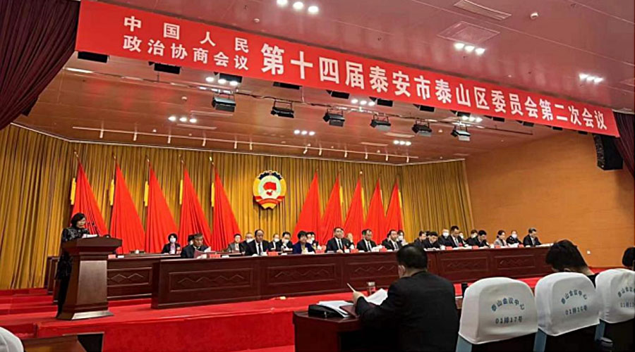 政协发言2