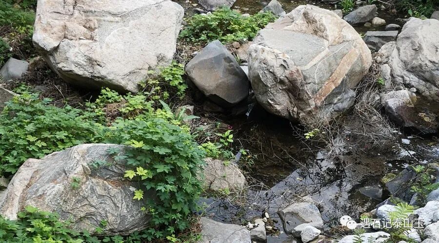河道中的泰山石